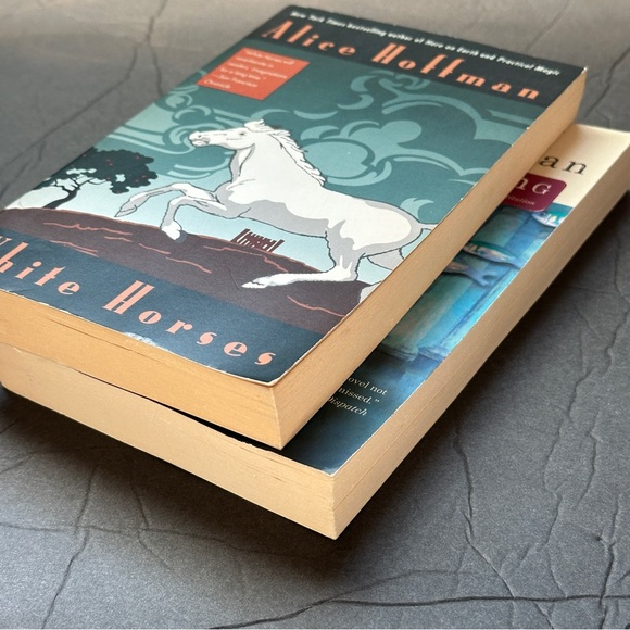 2 BOOK BUNDLE by Alice Hoffman | Fiction | Paperback Book (s) - Picture 8 of 9